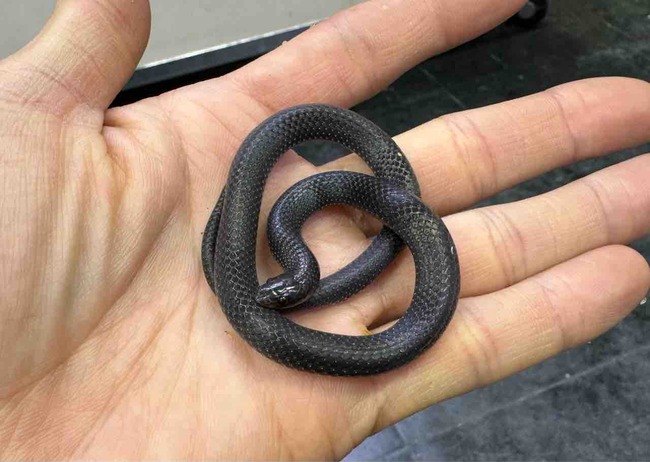 FullSizeRender