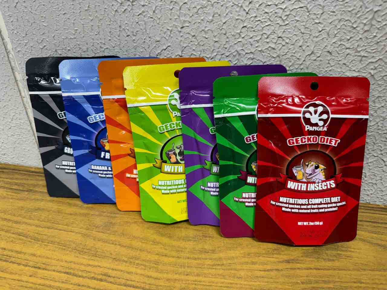 PANGEA 入荷しました！ | 爬虫類倶楽部