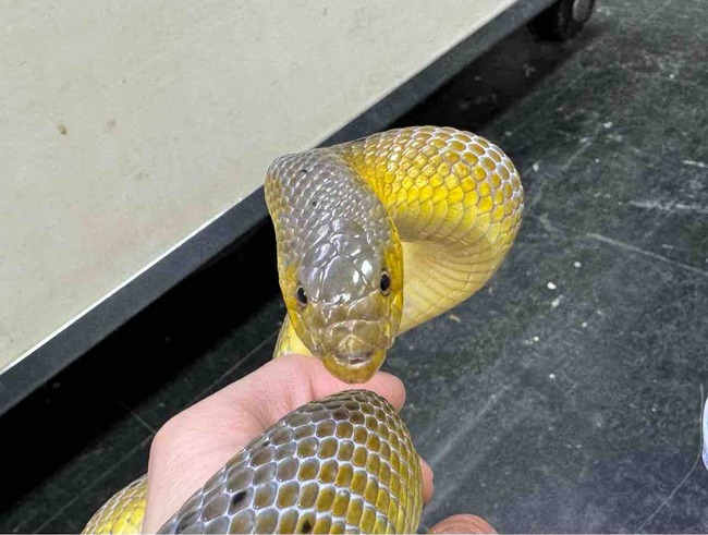 FullSizeRender