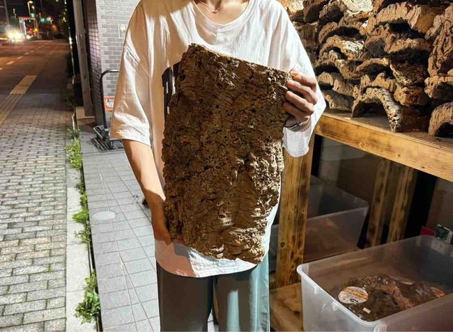 FullSizeRender
