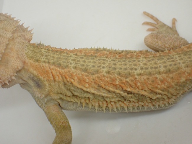 LINE_ALBUM_20240411_240412_15