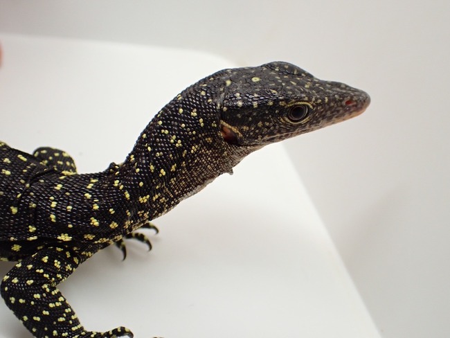 LINE_ALBUM_20241113_241114_22