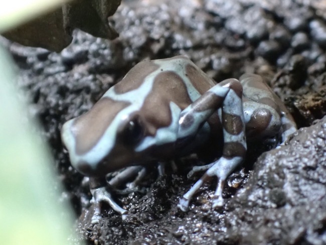 5AB407E5-06A4-4352-9402-559C07EFDDD7