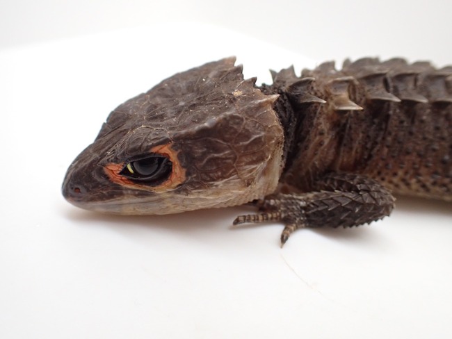 LINE_ALBUM_20241119_241121_34