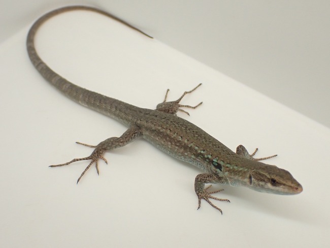 LINE_ALBUM_20241113_241114_8