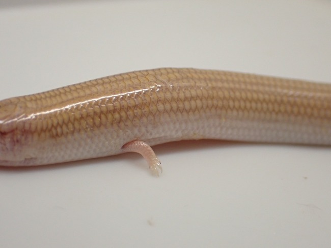 LINE_ALBUM_20240418_240422_6