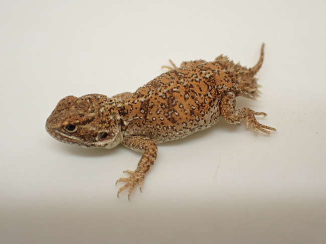 P8254373