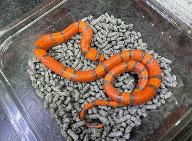FullSizeRender