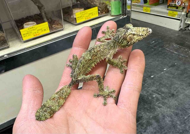FullSizeRender