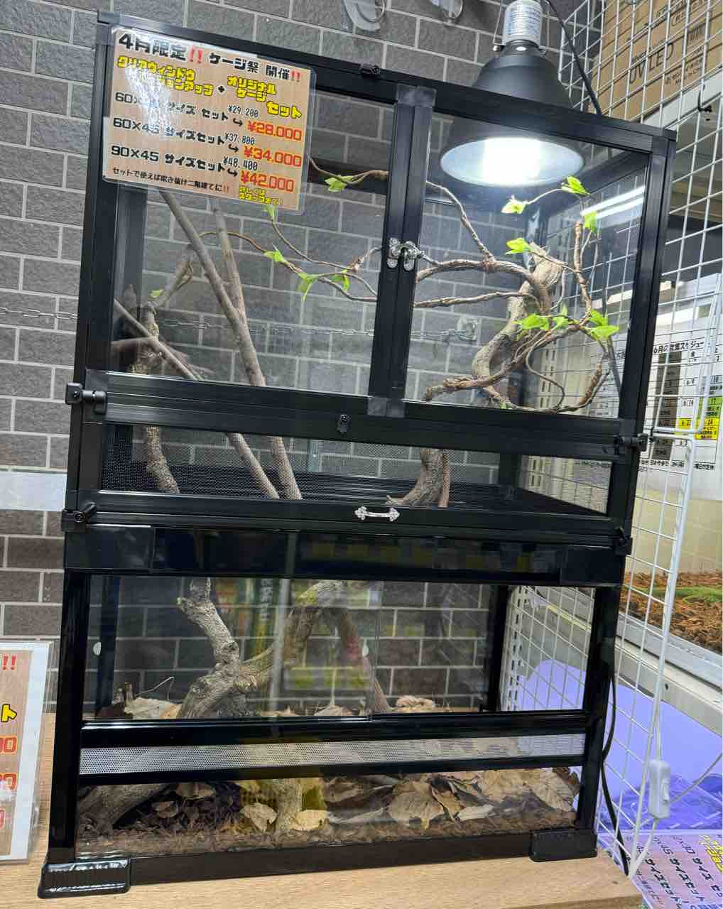 引き取り限定】爬虫類倶楽部 オリジナル ケージ ハチクラオリジナルケージ