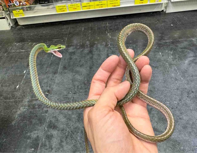 FullSizeRender