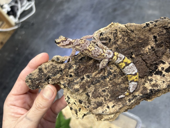 3DB86A89-5326-452A-9C0E-B913C31CA8E2