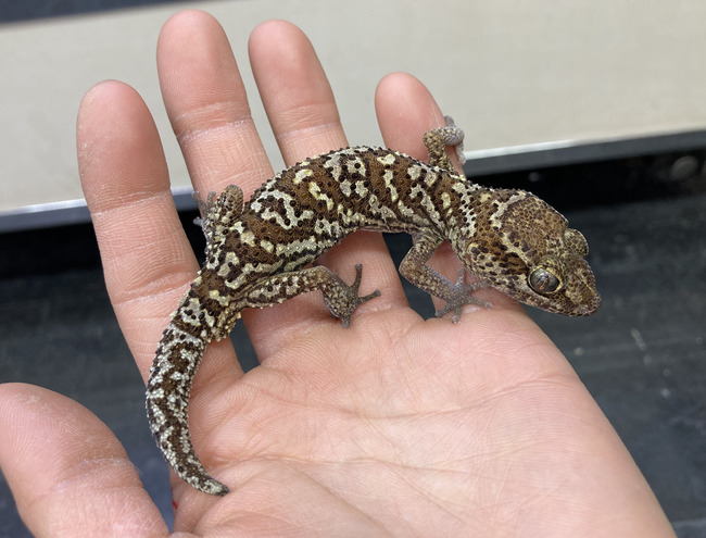 6DB122C0-BE77-4211-B48D-363B1E1D42AD