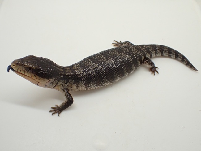 LINE_ALBUM_20240408 _1_240409_37