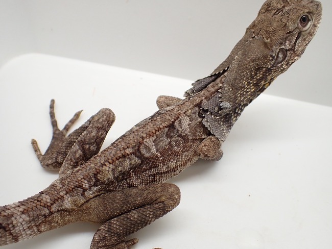 LINE_ALBUM_20241119_241121_24