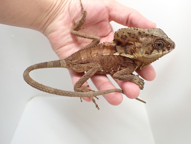 LINE_ALBUM_20241119_241121_5