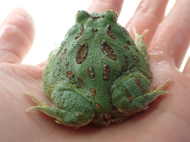 537D685B-DE5D-4A02-9B49-7C8BF5FB2508