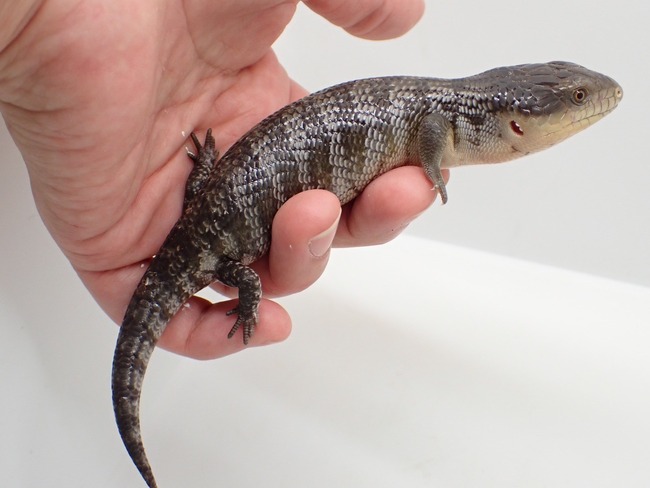 LINE_ALBUM_20240408 _1_240409_36