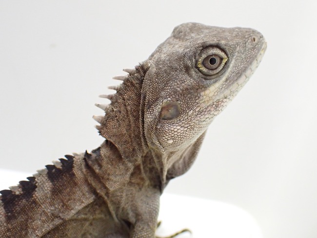 LINE_ALBUM_20240408 _1_240409_21