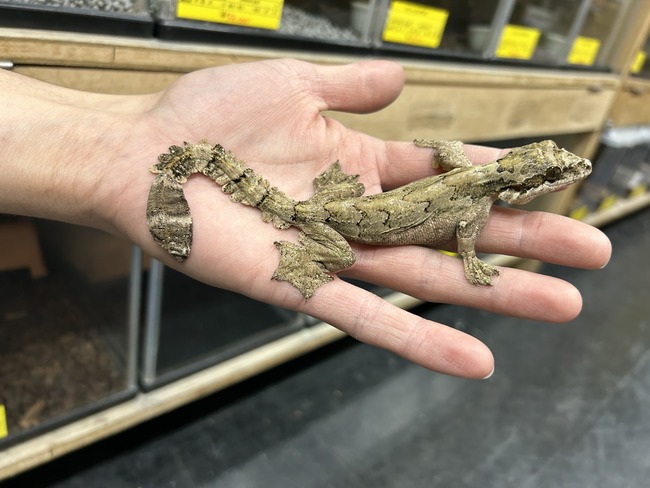 40B40B48-46B0-4CEF-BE65-2D0713BCF467