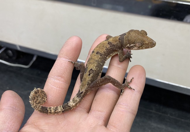 1445EA69-F3F3-4317-873A-EEE5D9808285