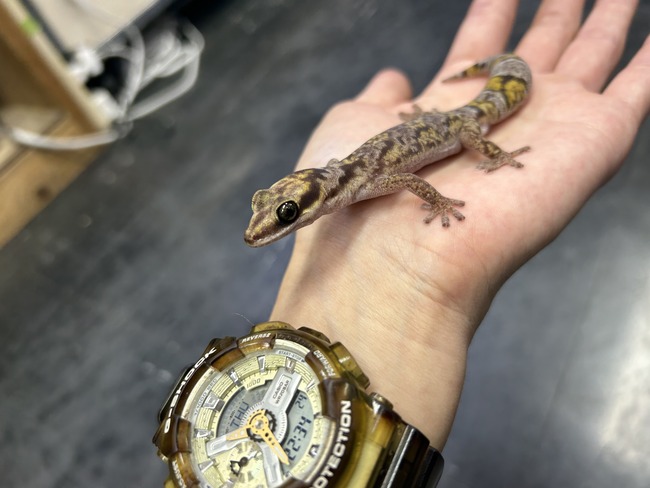 D8223F32-7904-4323-818F-3E3143677FFC