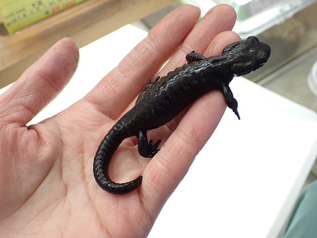 5A283371-5EF2-489F-B882-45CC0E742393