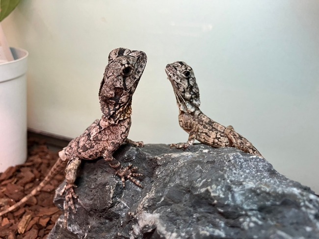 LINE_ALBUM_20240422_240422_12