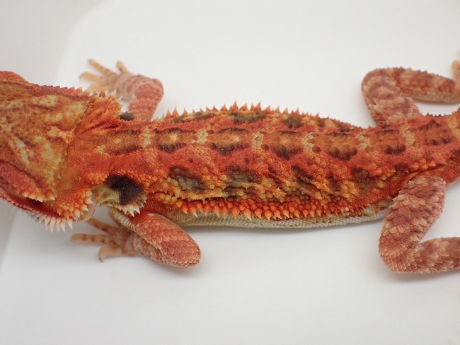 LINE_ALBUM_20240411_240412_11