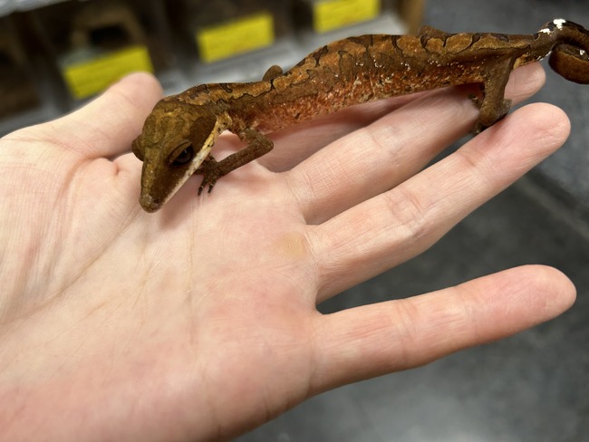 0591498B-2C24-4961-ACDB-9111155F01B0