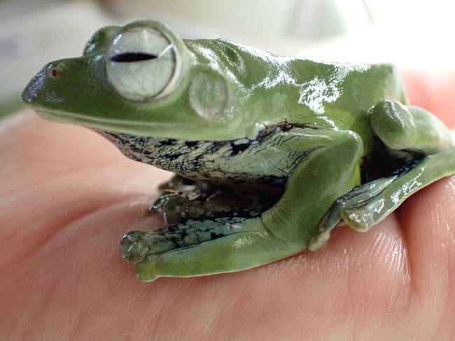 047E46A1-7F16-4A02-A7AC-E4056E46C01A