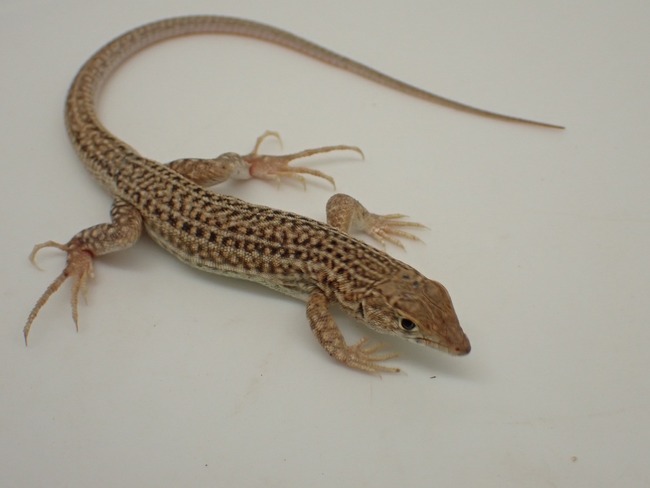 LINE_ALBUM_20240418_240422_47