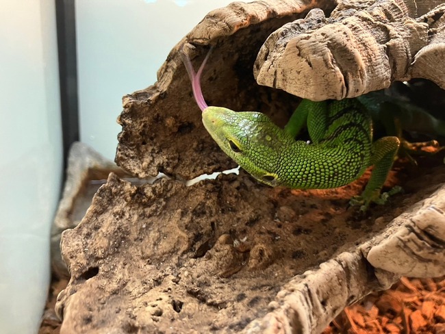 LINE_ALBUM_20240423_240423_48