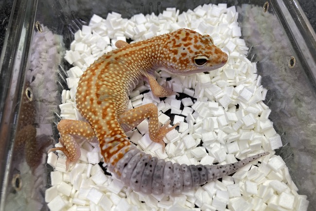 B50D88FD-7D7E-4146-8524-F8C665308814