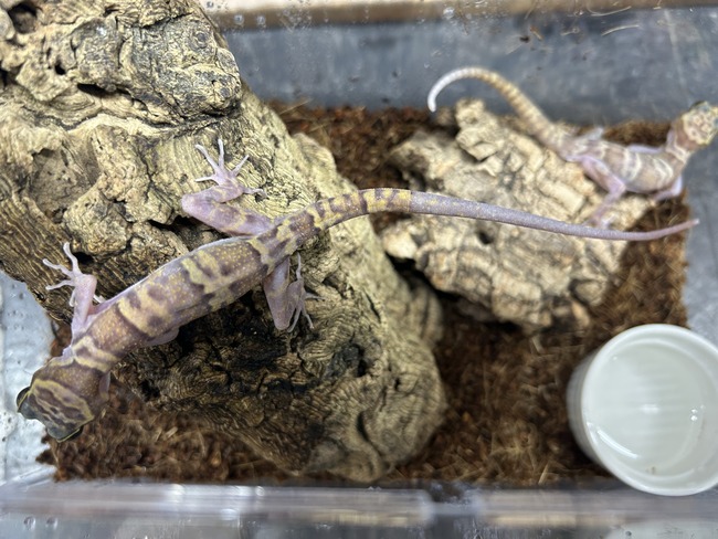 7303D9CD-E89E-499D-BDCD-A2D7D833600F