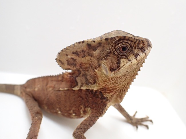 LINE_ALBUM_20241119_241121_6