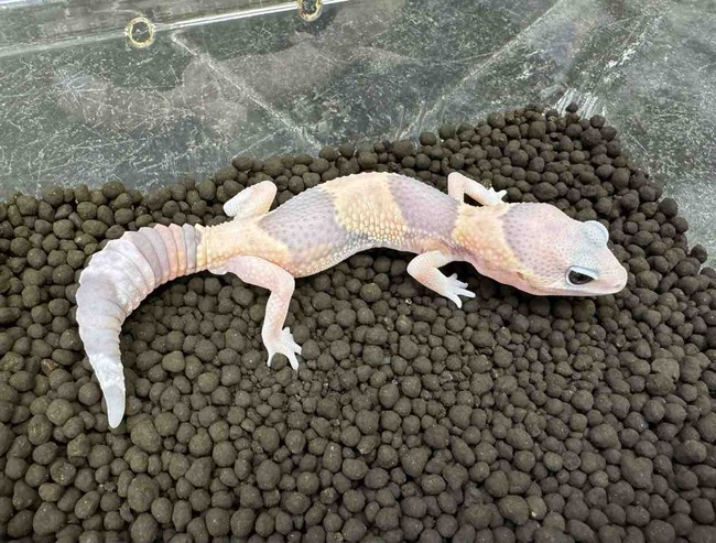 FullSizeRender