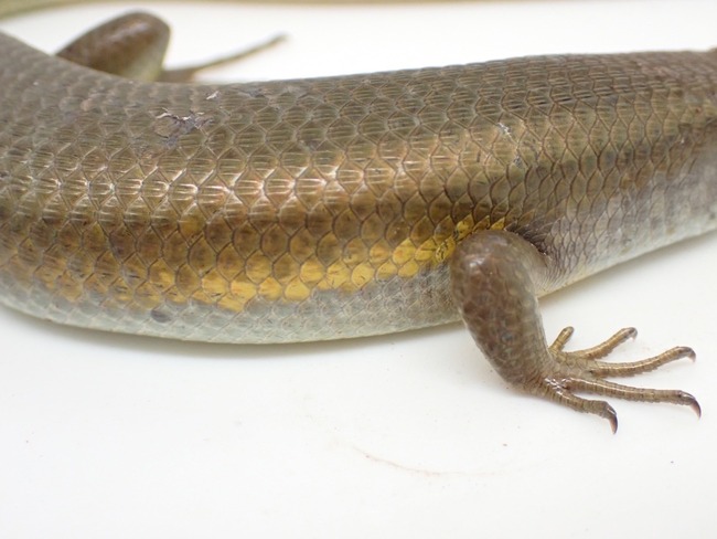 LINE_ALBUM_20240408 _1_240409_5