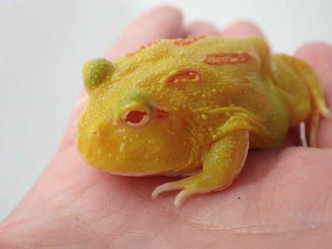 57ADCB96-BBED-4B34-BAB5-473B254645D4