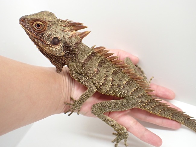 LINE_ALBUM_20241119_241121_9