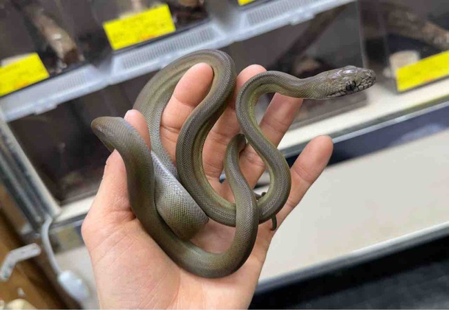 FullSizeRender