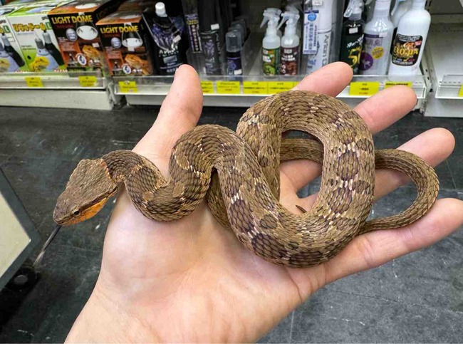 FullSizeRender
