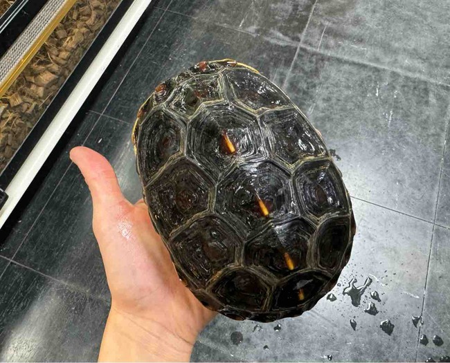 FullSizeRender