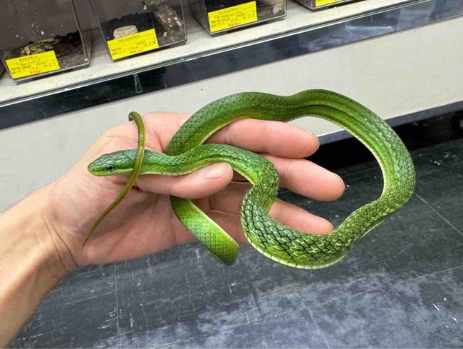 FullSizeRender