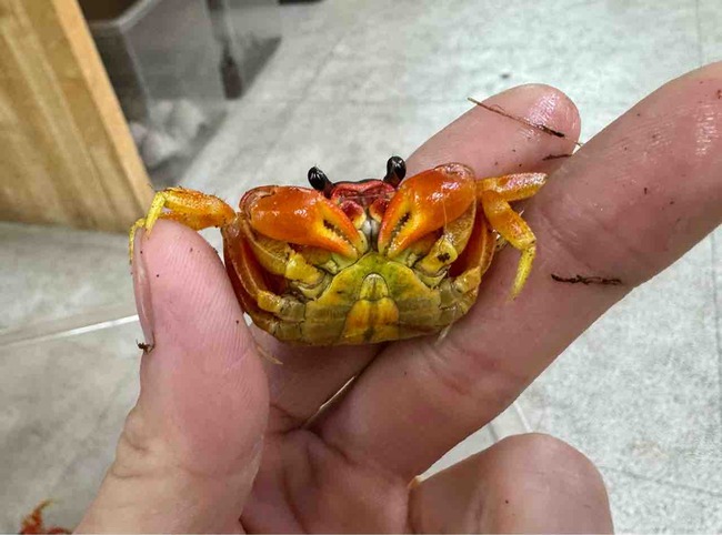 FullSizeRender