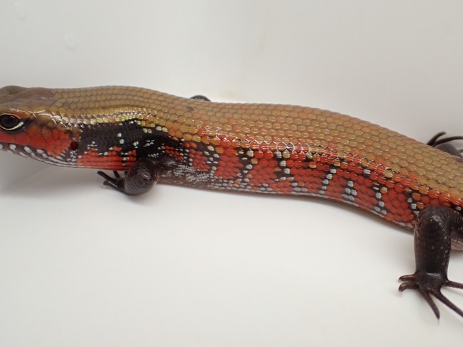 LINE_ALBUM_20241119_241121_15