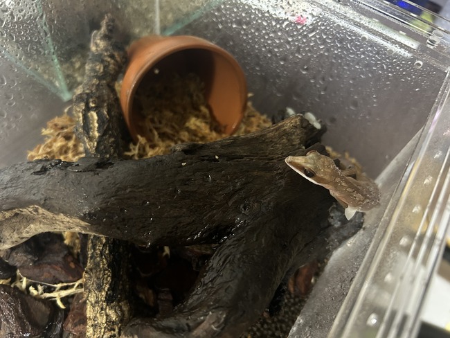 6D1CFF22-481D-453D-8DCE-71C78AF2E341