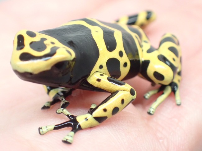 FA8AC029-00BE-4459-A28C-1F986C32A387