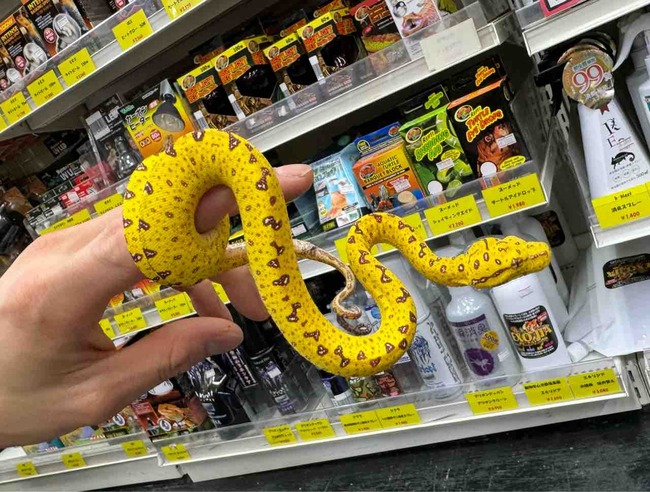 FullSizeRender