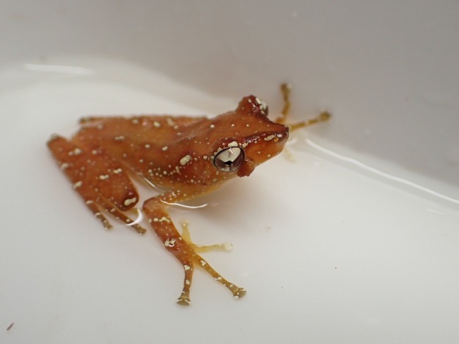 F145F198-6998-4851-B189-913242EE2523